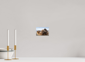 The Nursery Hour, Alaska