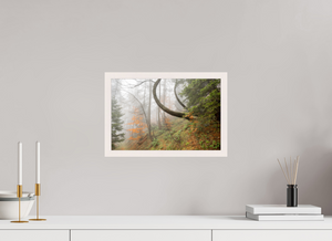 Imaginarium Opus, Slovenia