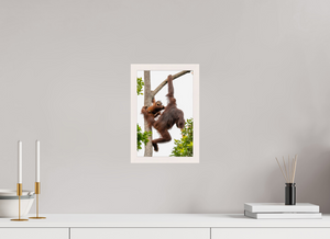 Panic Mode, Orangutan