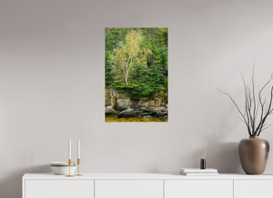 Autumn Confetti, Maine